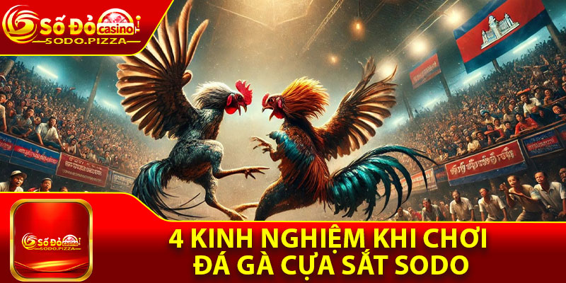 4 kinh nghiệm khi chơi đá gà cựa sắt Sodo