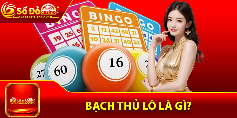 Bạch thủ lô là gì?