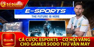 Cá Cược Esports – Cơ Hội Vàng Cho Gamer Sodo Thử Vận May
