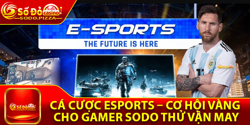 Cá Cược Esports – Cơ Hội Vàng Cho Gamer Sodo Thử Vận May