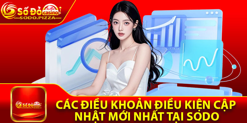 Các điều khoản điều kiện cập nhật mới nhất tại Sodo