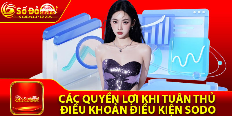 Các quyền lợi khi tuân thủ điều khoản điều kiện Sodo