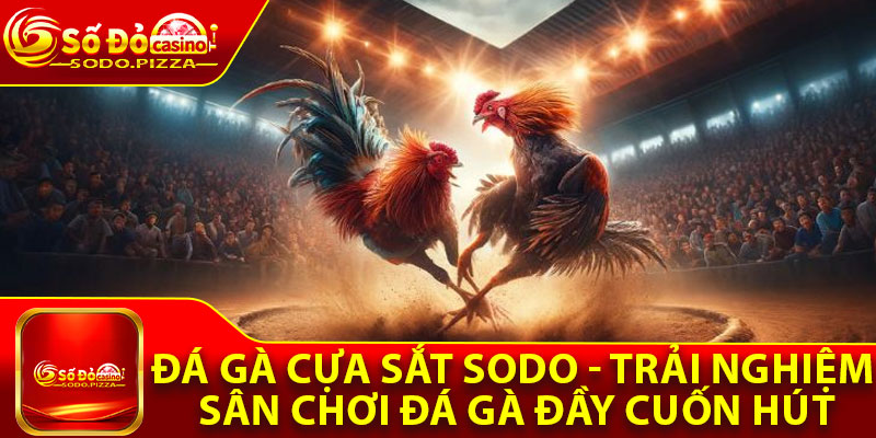 Đá Gà Cựa Sắt Sodo - Trải Nghiệm Sân Chơi Đá Gà Đầy Cuốn Hút