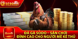 Đá Gà Sodo – Sân Chơi Đỉnh Cao Cho Người Mê Kê Thủ