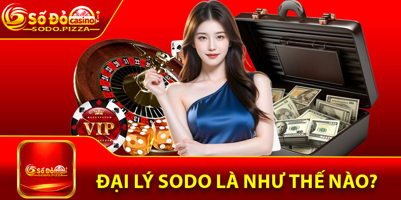 Đại lý Sodo là như thế nào?