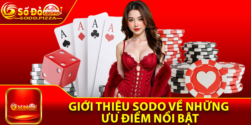 Giới thiệu Sodo về những ưu điểm nổi bật