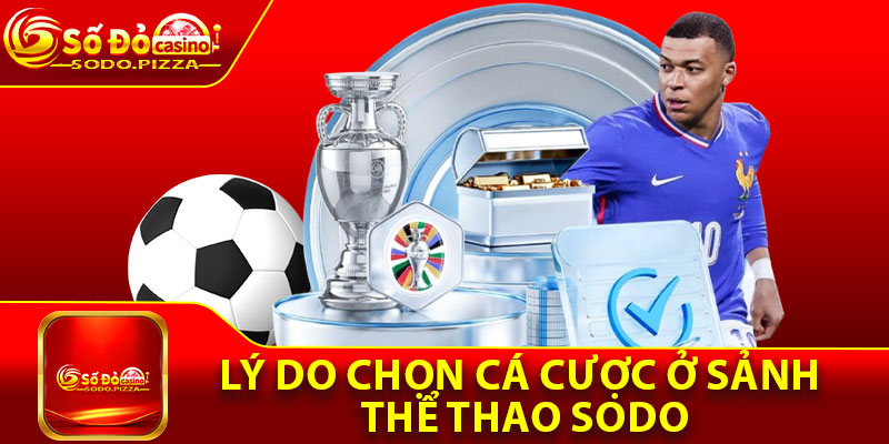 Lý do chọn cá cược ở sảnh thể thao Sodo