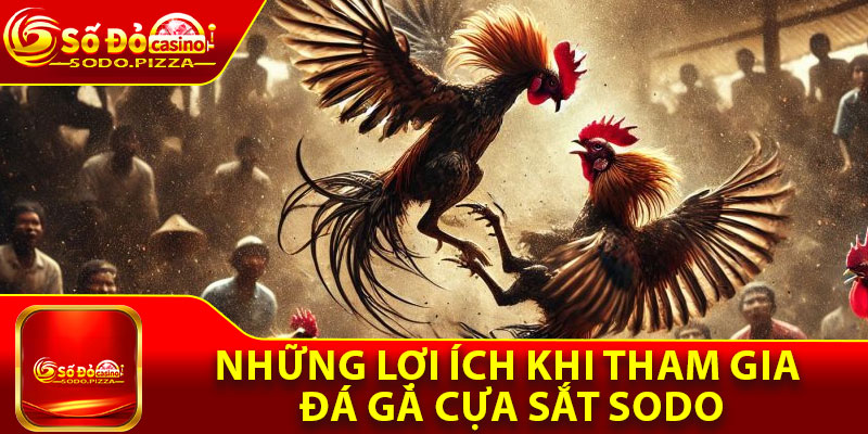 Những lợi ích khi tham gia đá gà cựa sắt Sodo