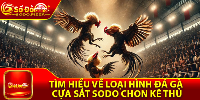 Tìm hiểu về loại hình đá gà cựa sắt Sodo chon kê thủ