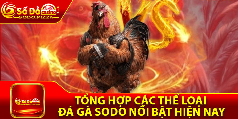 Tổng hợp các thể loại đá gà Sodo nổi bật hiện nay