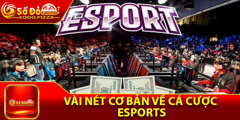 Vài nét cơ bản về cá cược Esports