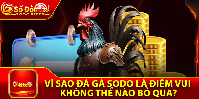 Vì sao đá gà Sodo là điểm vui không thể nào bỏ qua?
