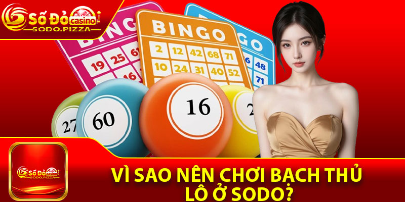 Vì sao nên chơi bạch thủ lô ở Sodo?
